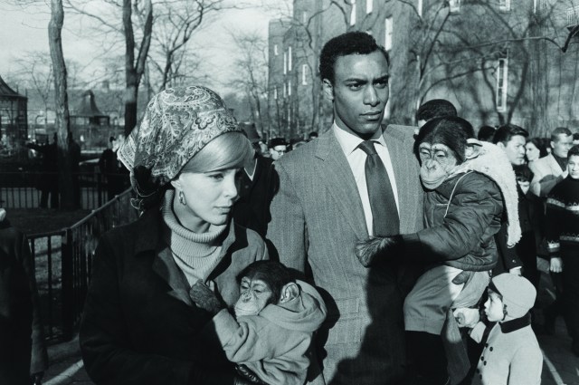 Garry Winogrand, Central Park Zoo, New York, 1967; gelatin silver print; Collection of Randi and Bob Fisher; © The Estate of Garry Winogrand, courtesy Fraenkel Gallery, San Francisco