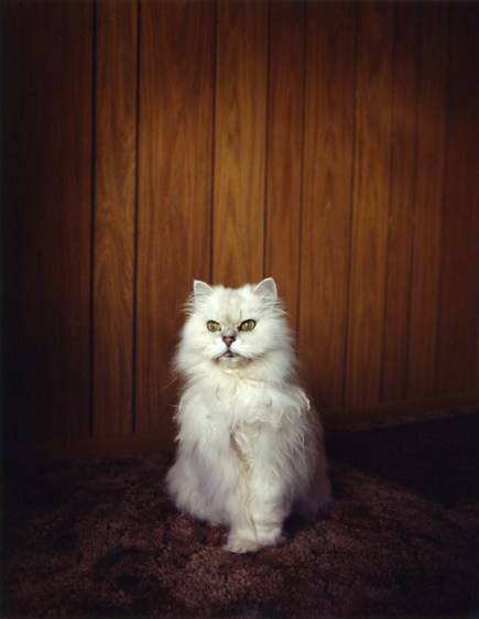 #1843 © Todd Hido 1996